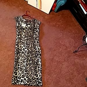 Jaclyn Smith collection size M dress with tags